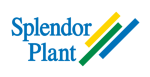 Splendor Plant AB 