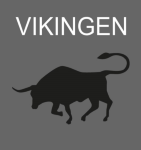 Vikingen Financial Software AB