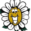 Linköpings koloniträdgårdar 