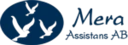 Mera Assistans i Malmö AB 