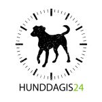 Hunddagis24 AB 