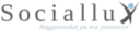 Sociallux AB 