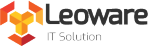 Leoware IT Solution AB 